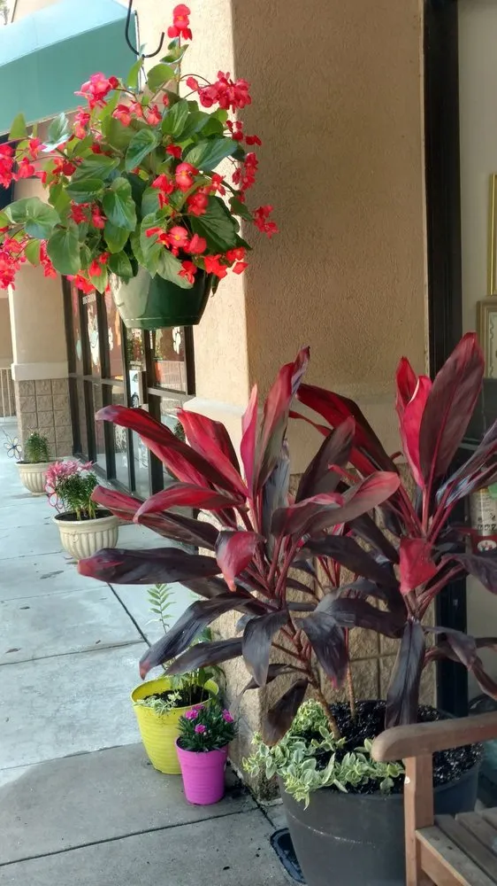 Expert lawn mowing service for beautiful yards in Hilton Head, SC by The Green Thumb