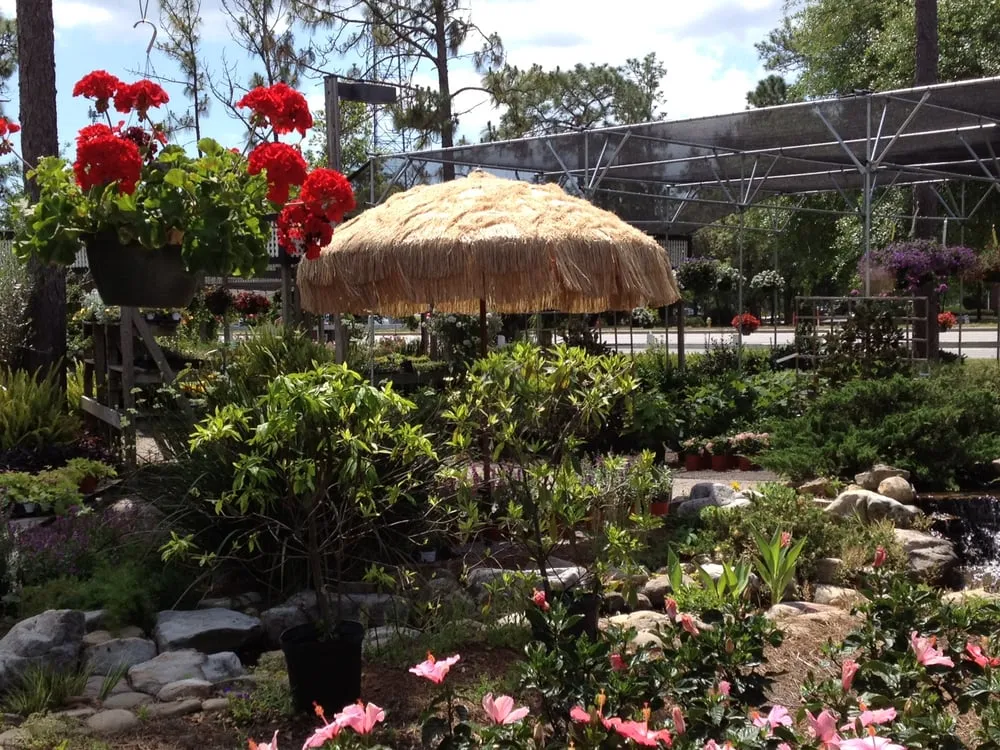 Top-rated lawn care service experts serving Hilton Head, SC - The Green Thumb