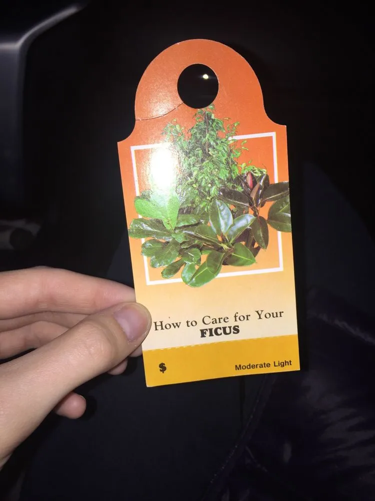 Custom yard maintenance in Davenport, IA - The Green Thumbers