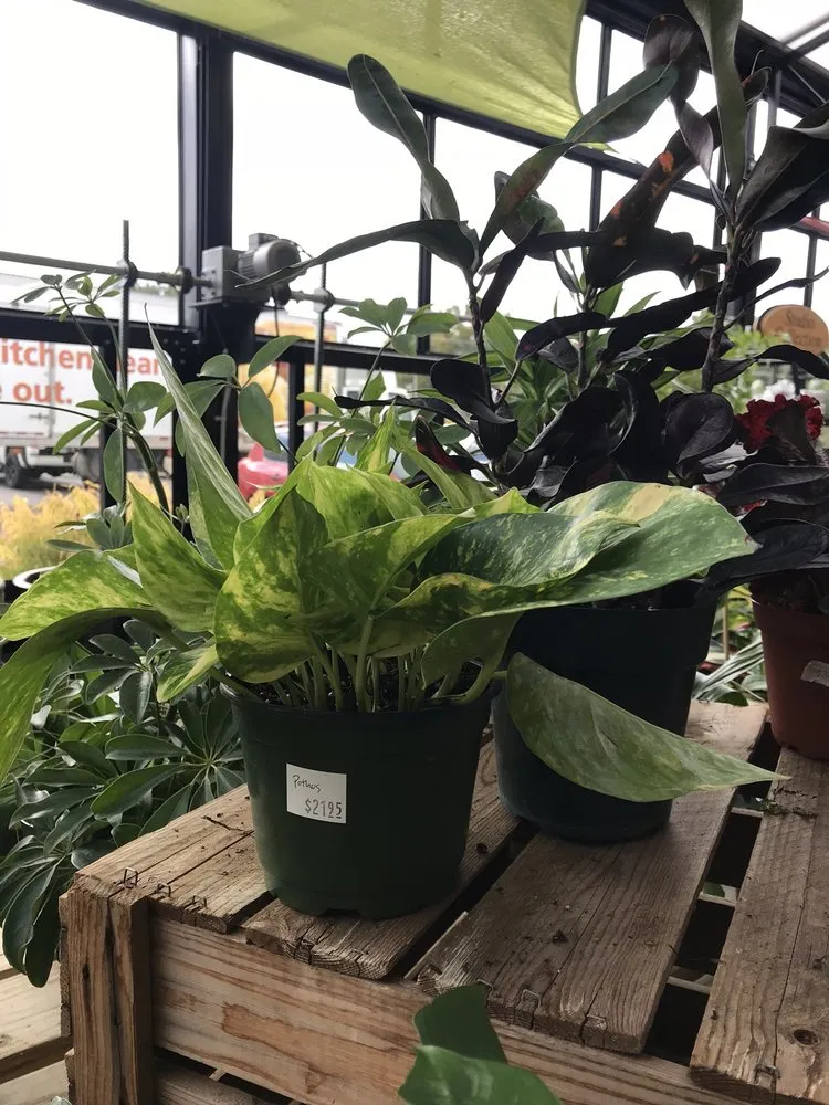 Custom landscaping services for residential properties in Davenport, IA by The Green Thumbers