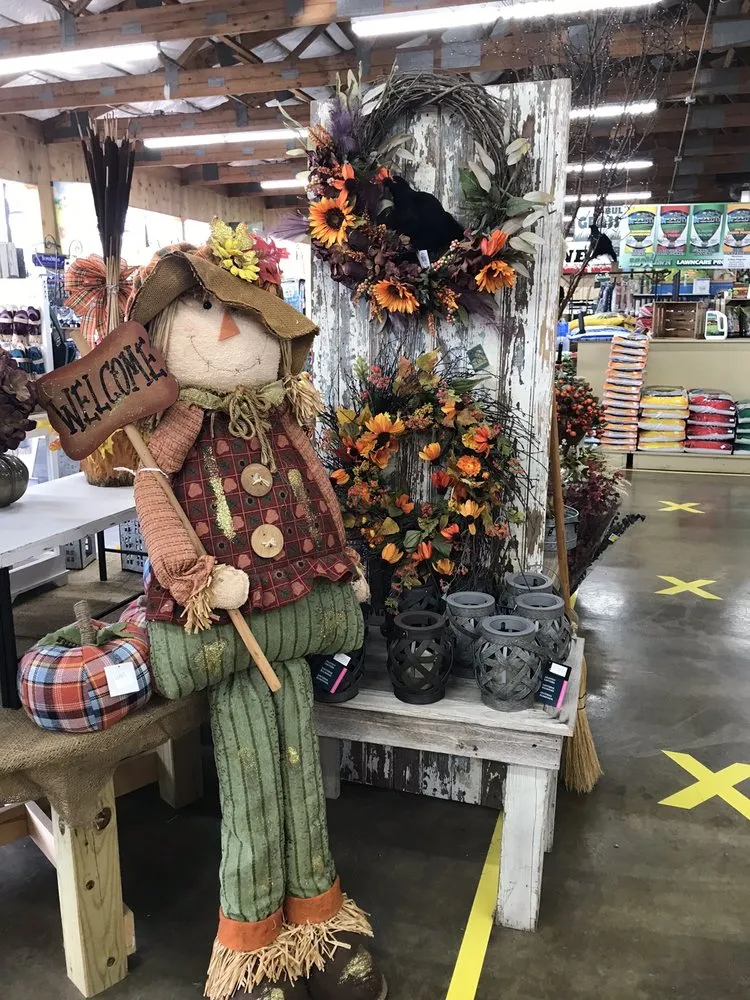 Affordable garden landscaping in Davenport, IA - The Green Thumbers