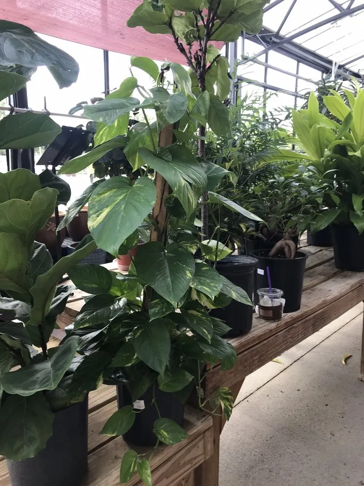 Trusted residential landscaping for beautiful yards across Davenport, IA - The Green Thumbers