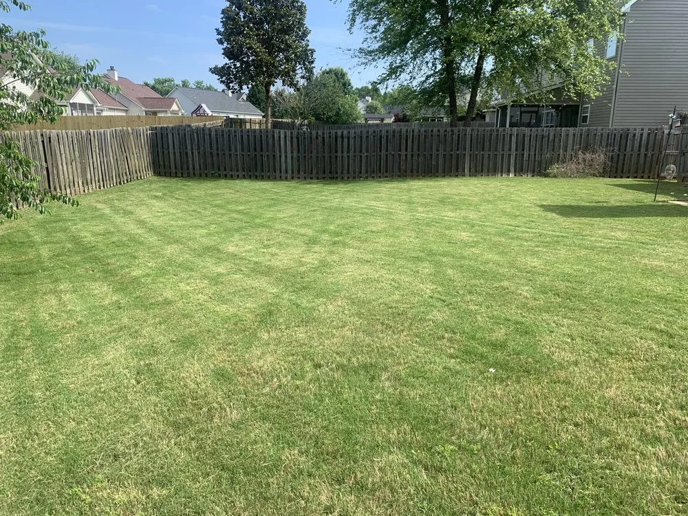 Top-rated landscaping services for homes across Spartanburg, SC - The Greener Path