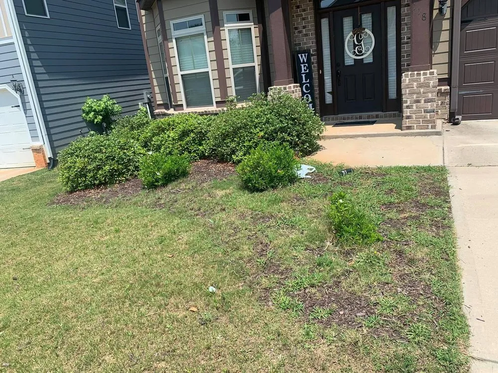 Reliable outdoor landscaping in Spartanburg, SC by The Greener Path