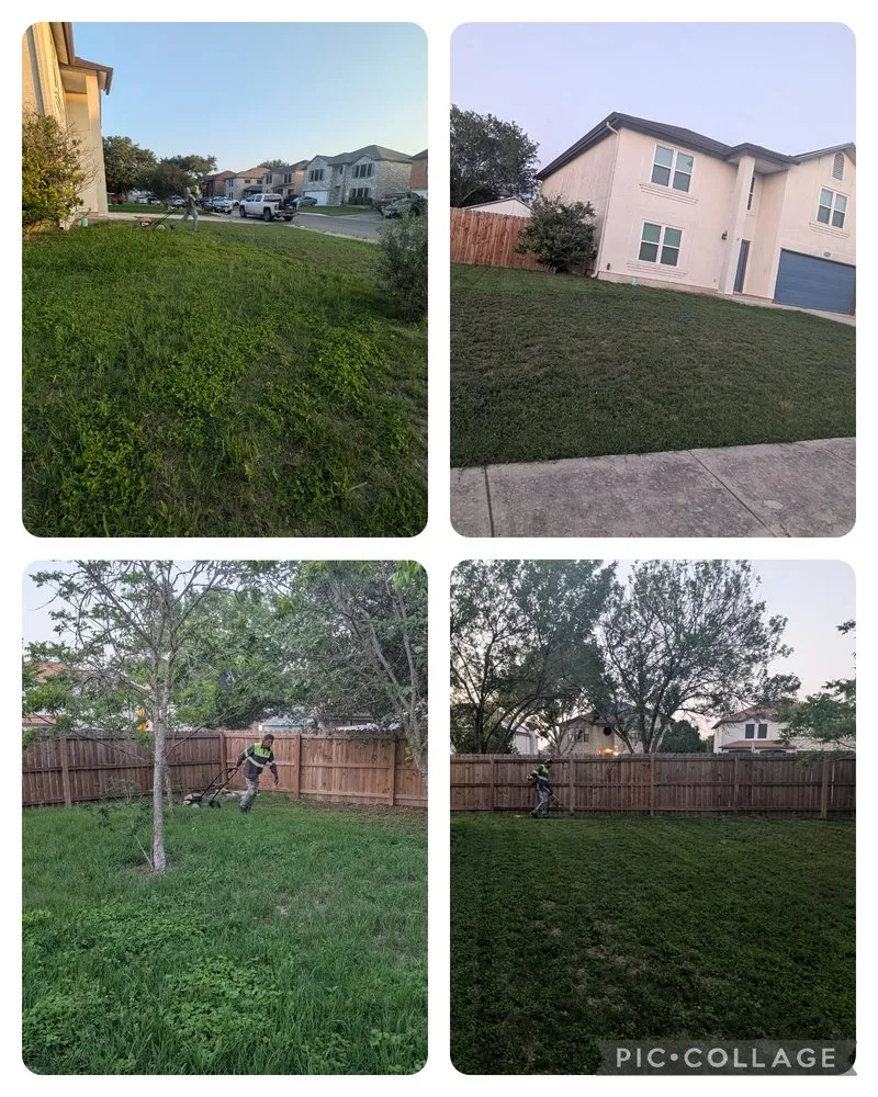 Professional landscape installation for residential properties across San Antonio, TX - The Greener Scenery