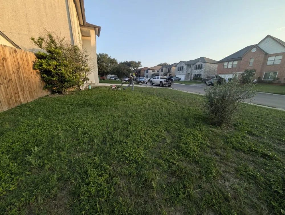 Local yard cleanup service for beautiful yards in San Antonio, TX by The Greener Scenery