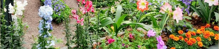 Professional landscape design near you across Alexandria, VA - The Greener Side