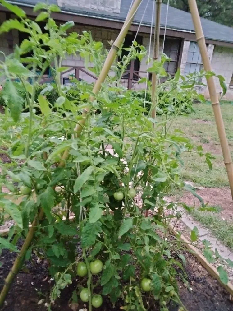 Affordable outdoor landscaping for homes across helotes, TX - The Greener Thumb Landscaping