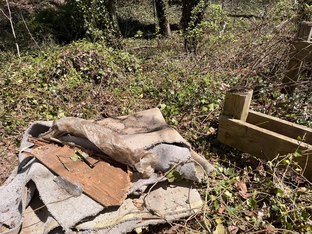 Custom yard cleanup service in Lusby, MD - The Greener Touch