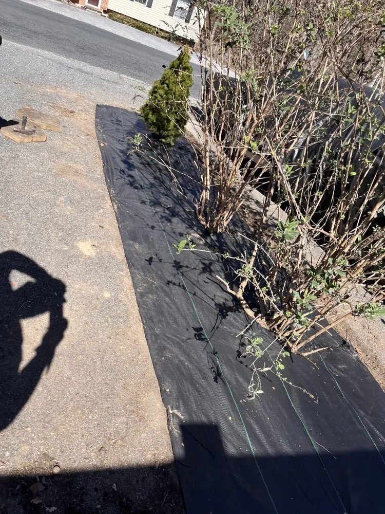 Custom yard maintenance experts serving Lusby, MD - The Greener Touch