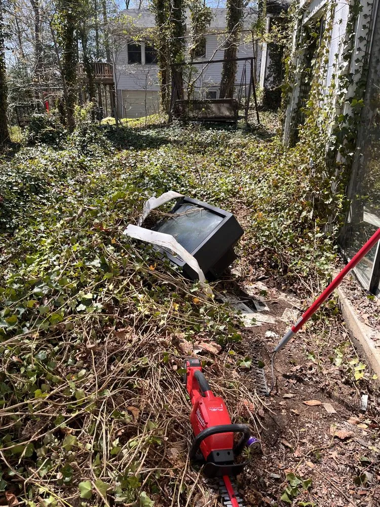 Professional yard maintenance in Lusby, MD by The Greener Touch