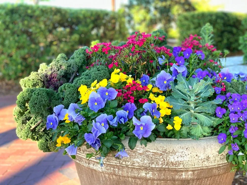 Expert yard cleanup service experts serving Beaufort, SC - The Greenery