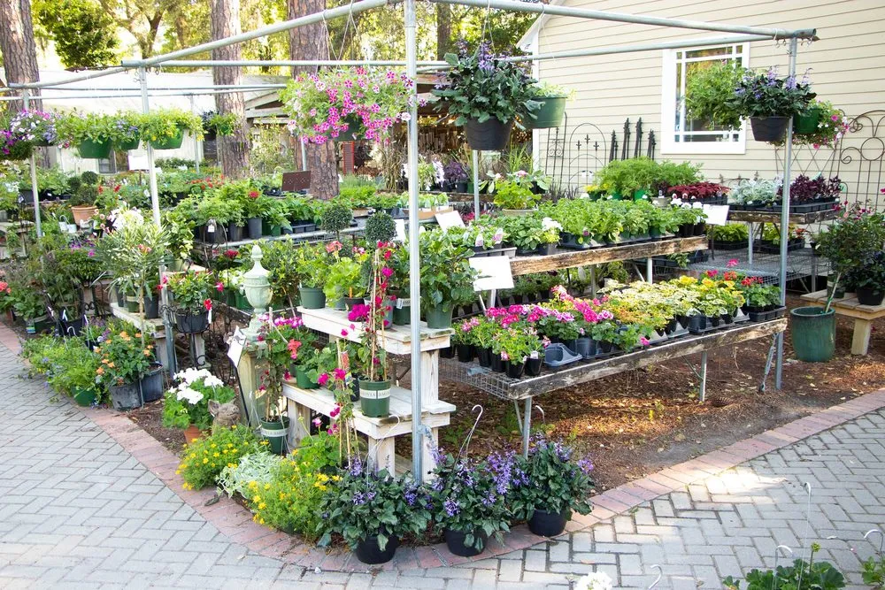 Expert landscape installation for homes across Hilton Head Island, SC - The Greenery Garden Center Gift & Home