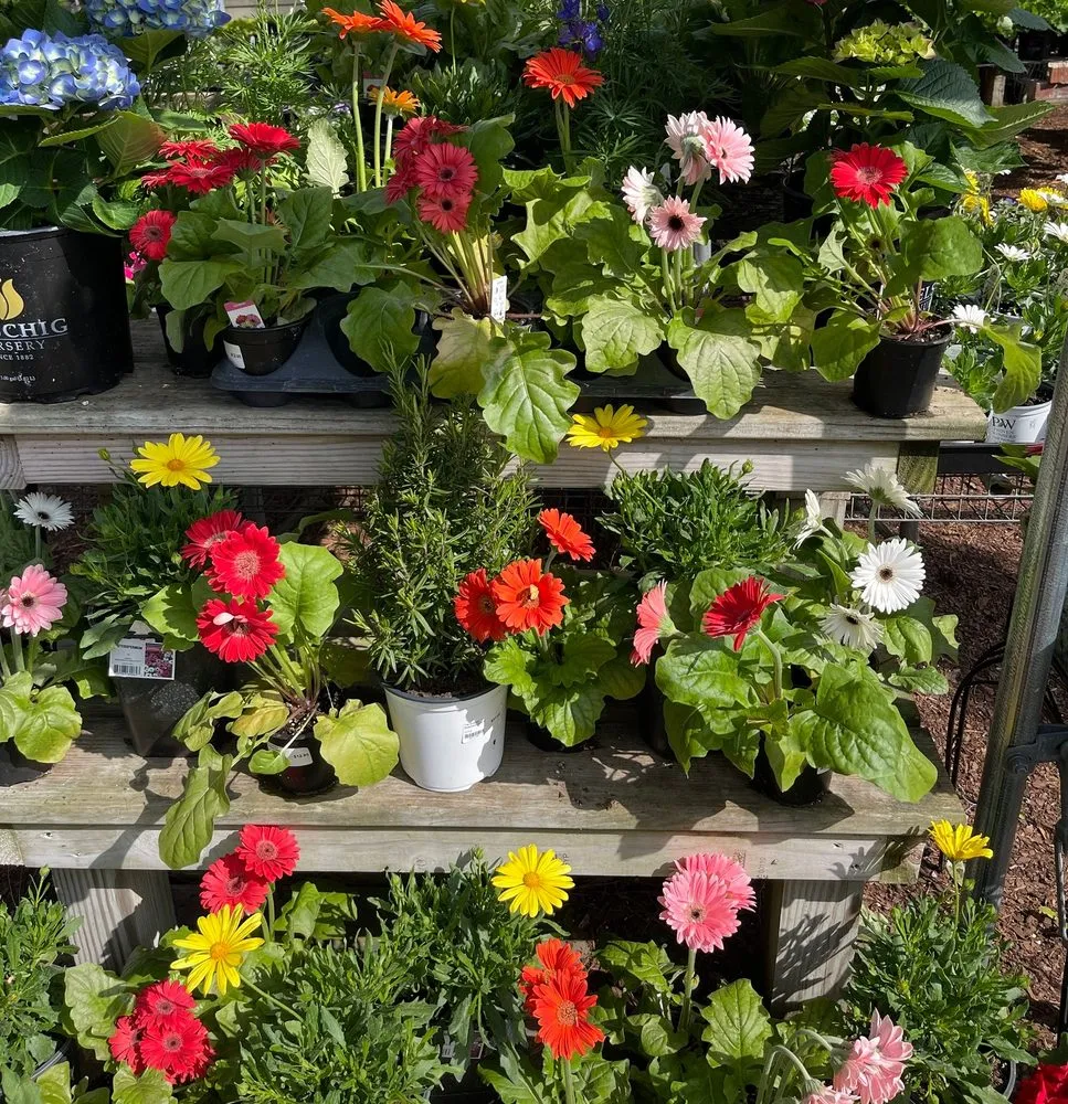Local landscaping services experts serving Hilton Head Island, SC - The Greenery Garden Center Gift & Home