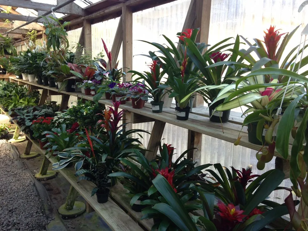 Reliable yard maintenance for homes in Hardeeville, SC by The Greenery