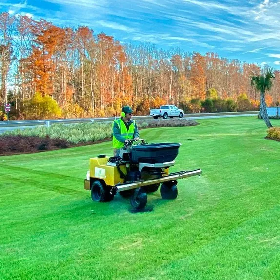 Reliable landscaping services for year-round maintenance in Hardeeville, SC by The Greenery
