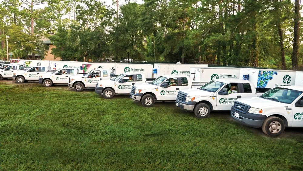 Expert yard cleanup service for beautiful yards in Hilton Head Island, SC by The Greenery