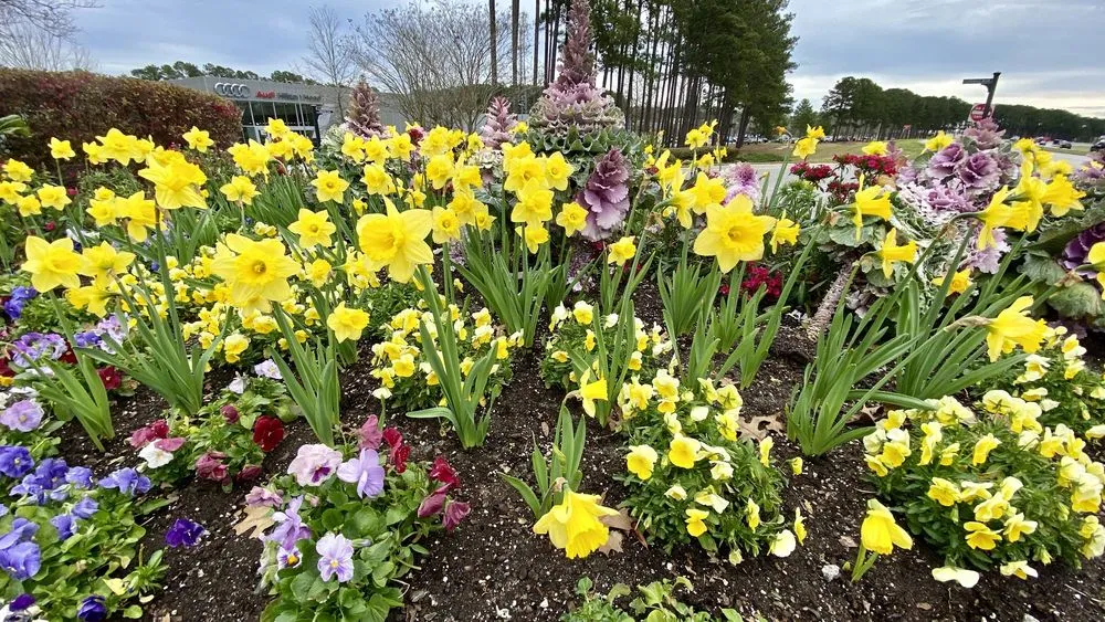 Reliable residential landscaping in Hilton Head Island, SC - The Greenery