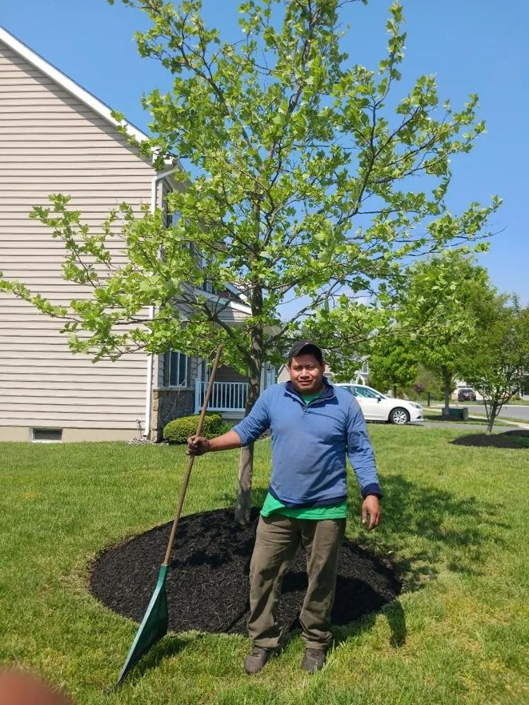 Top-rated landscape installation for residential properties in Wilmington Manor, DE by The Greenery Landscaping