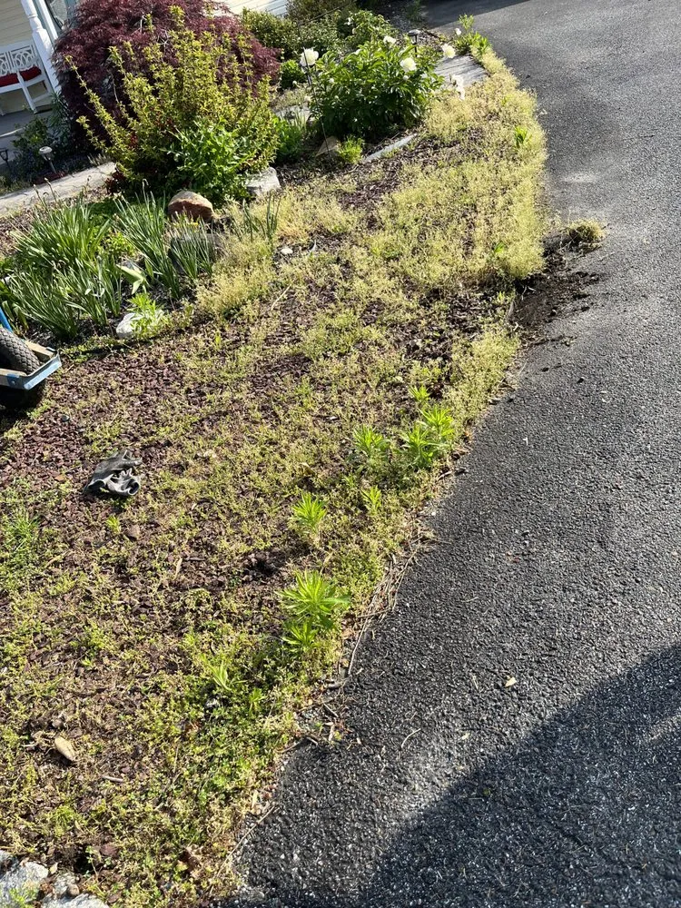 Local lawn care service for year-round maintenance in Wilmington Manor, DE by The Greenery Landscaping