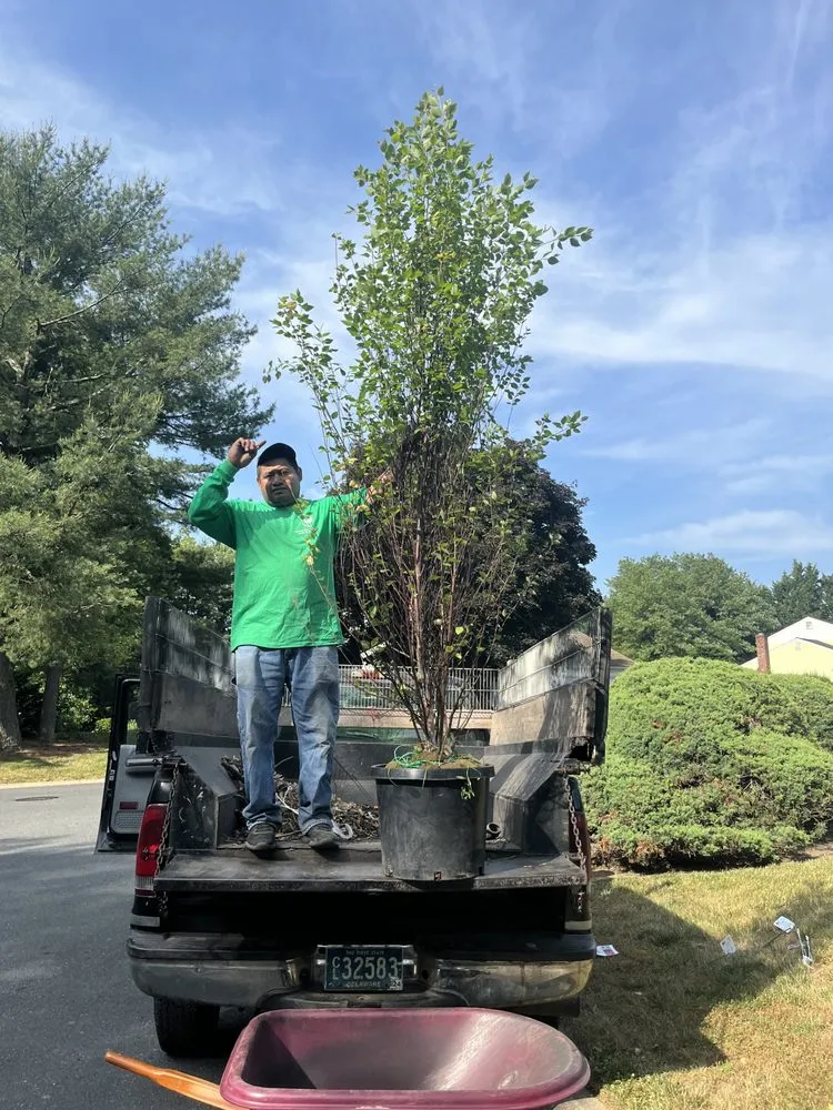 Top-rated lawn mowing service near you in Wilmington Manor, DE by The Greenery Landscaping