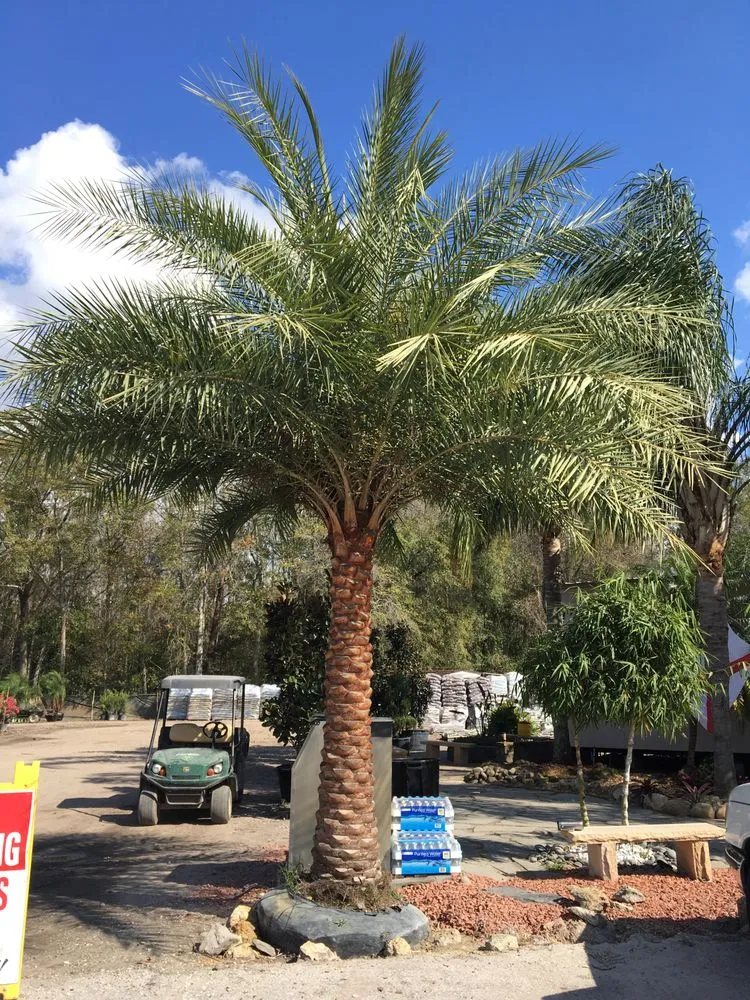 Trusted residential landscaping in Land O' Lakes, FL - The Greenery of Tampa Bay