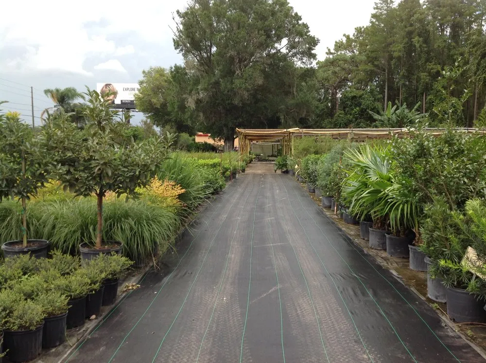 Professional outdoor landscaping in Land O' Lakes, FL by The Greenery of Tampa Bay