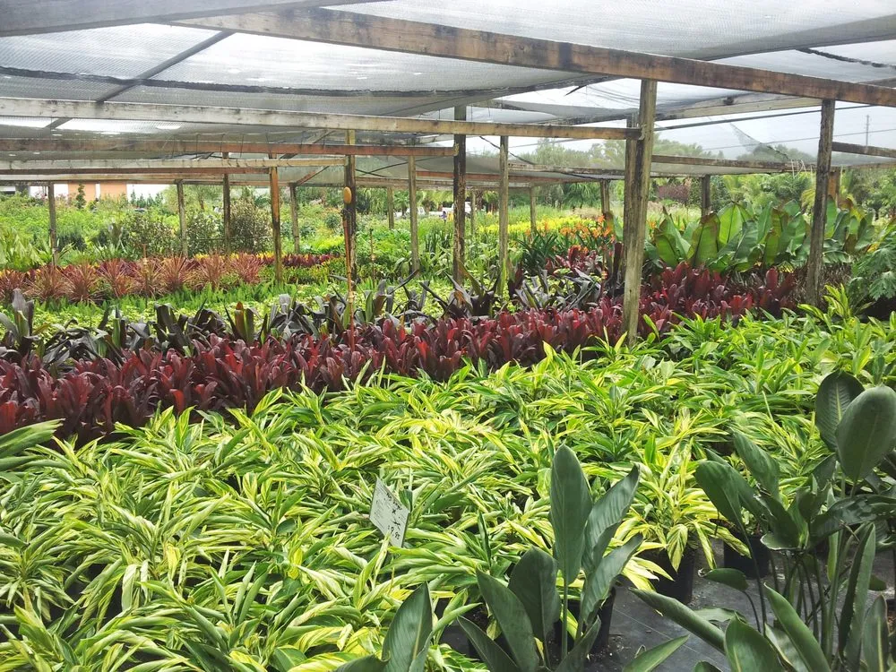 Professional garden landscaping in Land O' Lakes, FL by The Greenery of Tampa Bay
