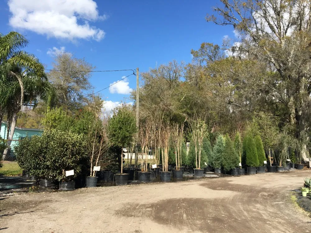 Trusted yard maintenance for outdoor upgrades across Land O' Lakes, FL - The Greenery of Tampa Bay