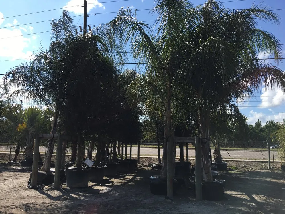 Custom landscaping services experts serving Land O' Lakes, FL - The Greenery of Tampa Bay