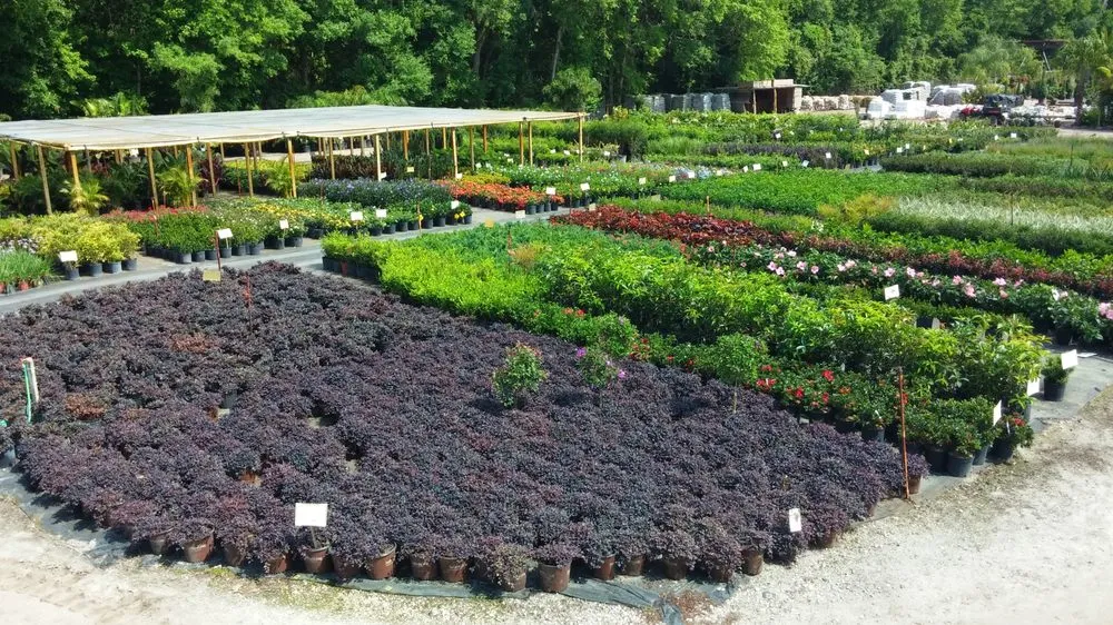Professional lawn care service experts serving Land O' Lakes, FL - The Greenery of Tampa Bay