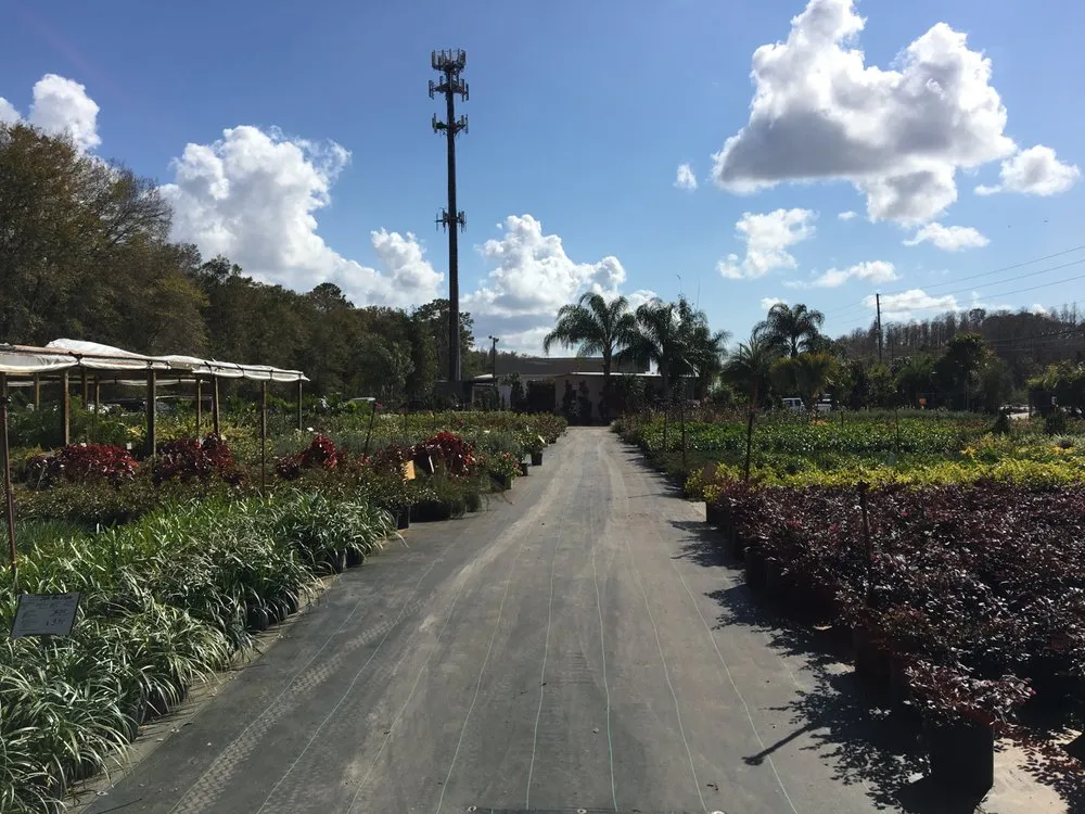 Expert landscape installation experts serving Land O' Lakes, FL - The Greenery of Tampa Bay