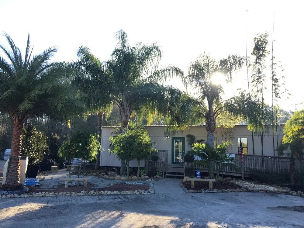 Top-rated landscaping services experts serving Land O' Lakes, FL - The Greenery of Tampa Bay