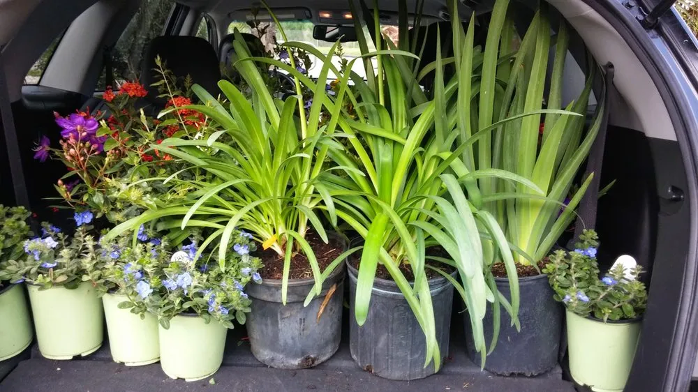 Trusted lawn care service with custom design across Land O' Lakes, FL - The Greenery of Tampa Bay