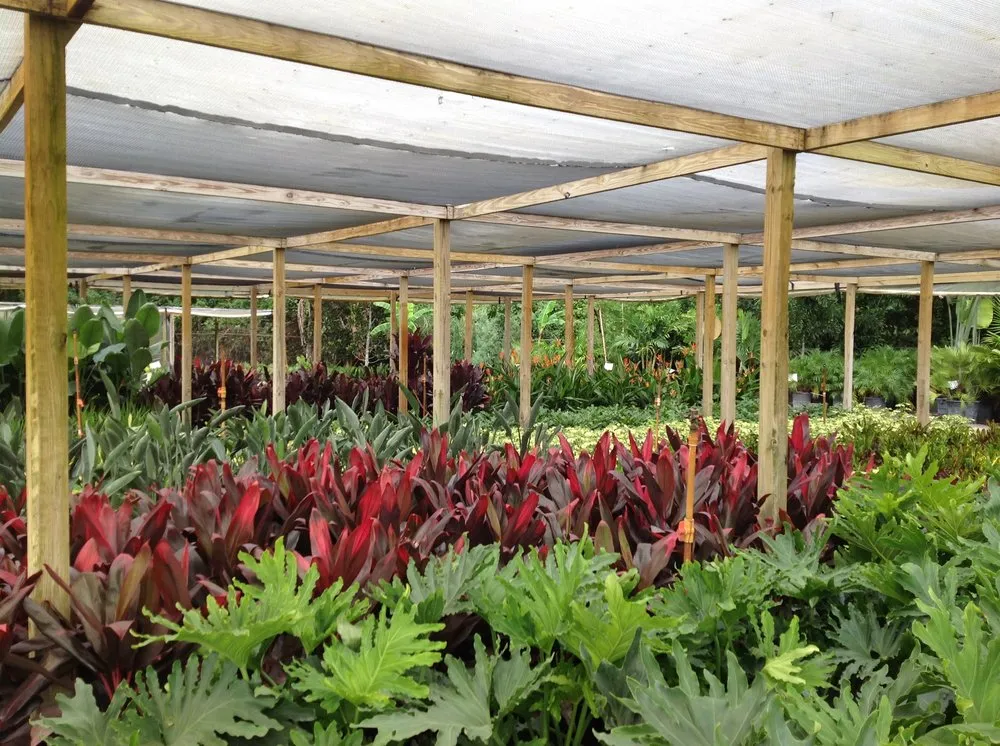 Custom yard maintenance in Land O' Lakes, FL - The Greenery of Tampa Bay