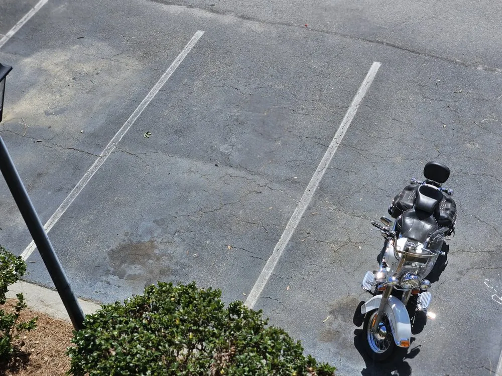 Expert yard maintenance in Savannah, GA by The Greenery