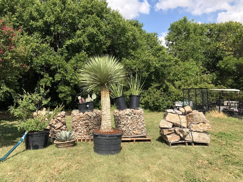 Local landscape installation in Waxahachie, TX - The Greenery
