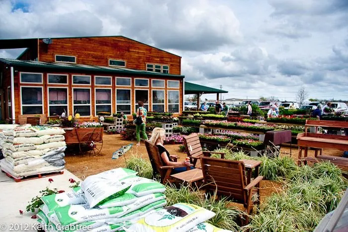 Affordable landscaping services experts serving Waxahachie, TX - The Greenery