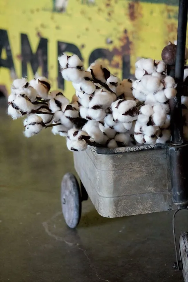 Custom landscape design in Waxahachie, TX - The Greenery