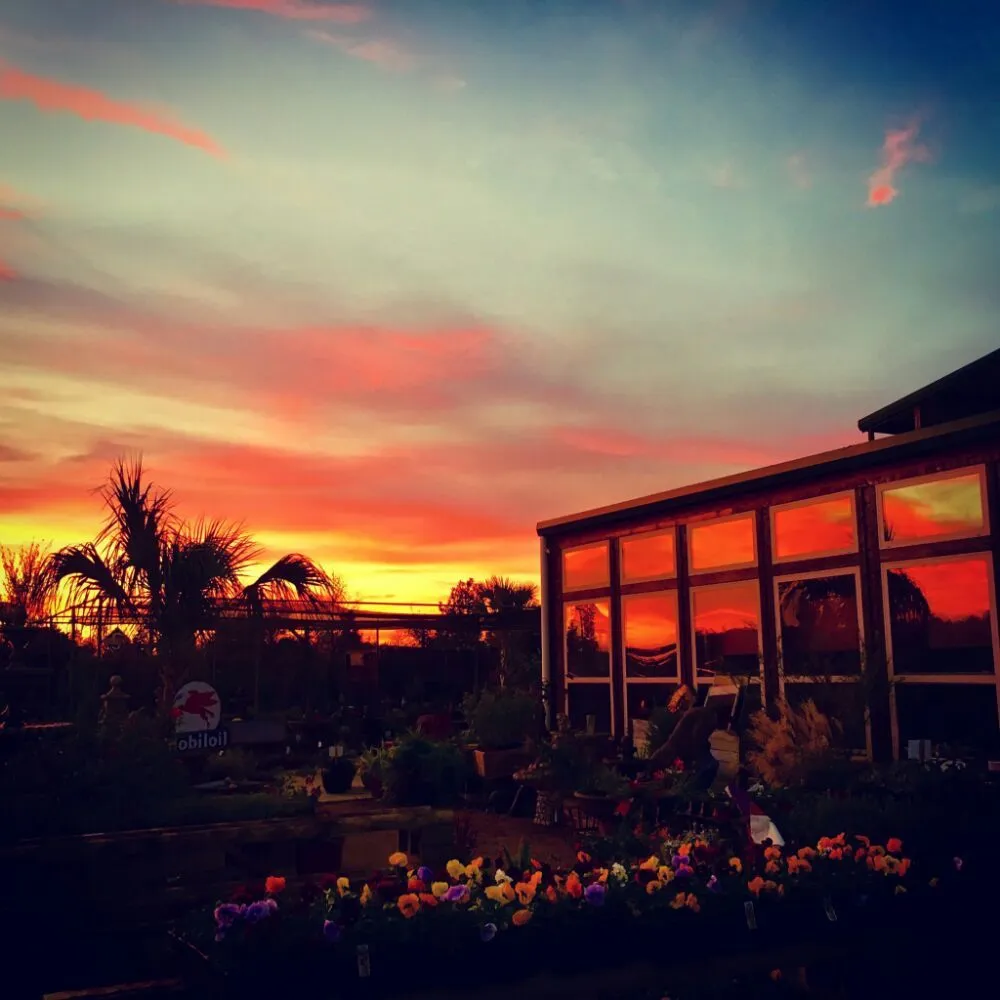 Top-rated lawn care service for outdoor upgrades in Waxahachie, TX by The Greenery