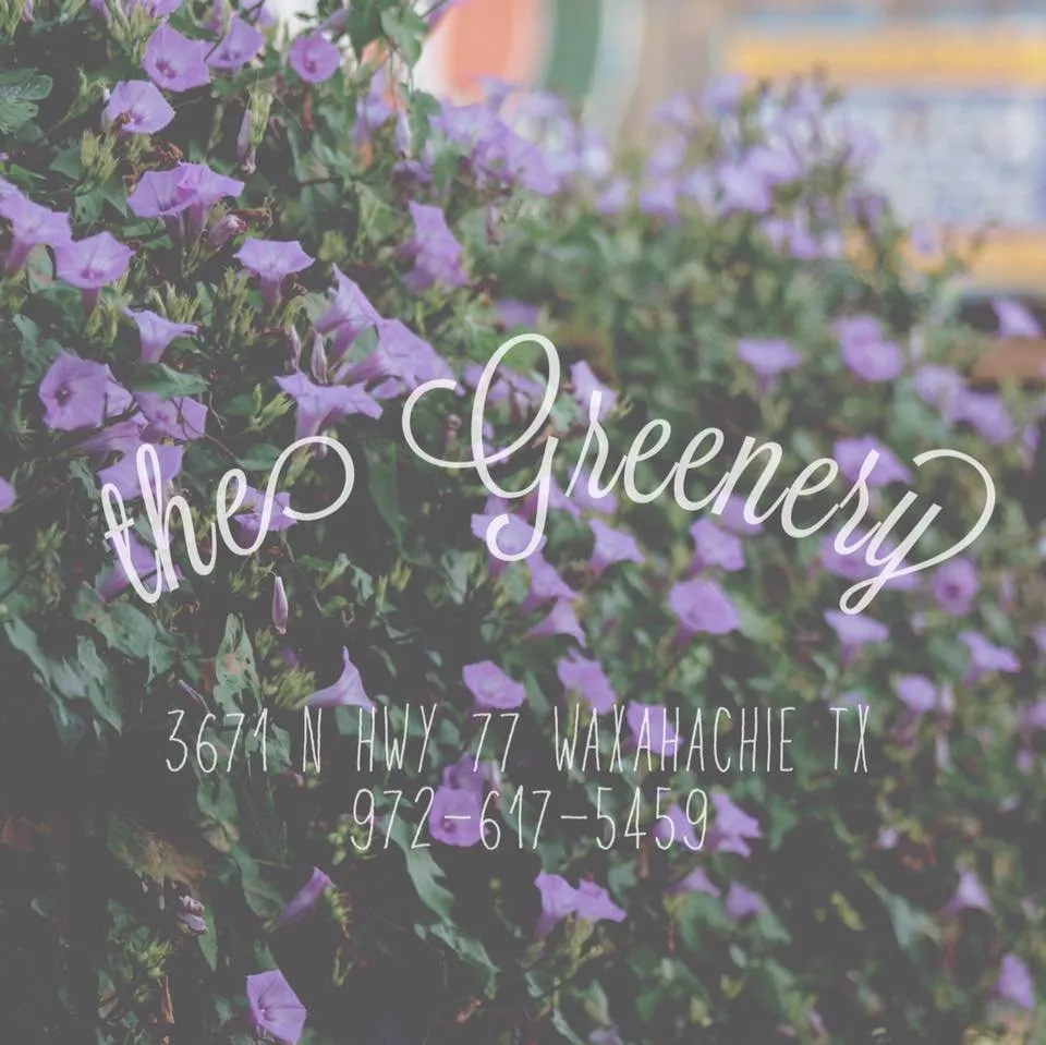 Local lawn care service experts serving Waxahachie, TX - The Greenery