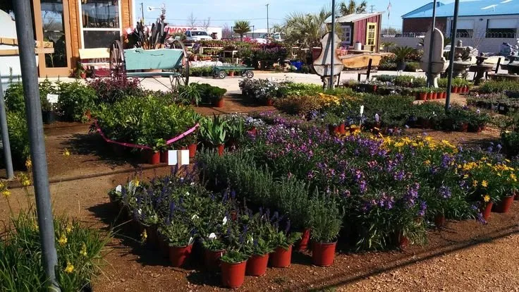 Top-rated outdoor landscaping experts serving Waxahachie, TX - The Greenery