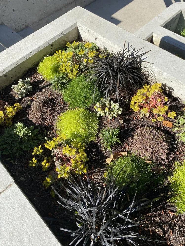 Trusted yard maintenance in Portland, OR by The Greenleaf Gardens