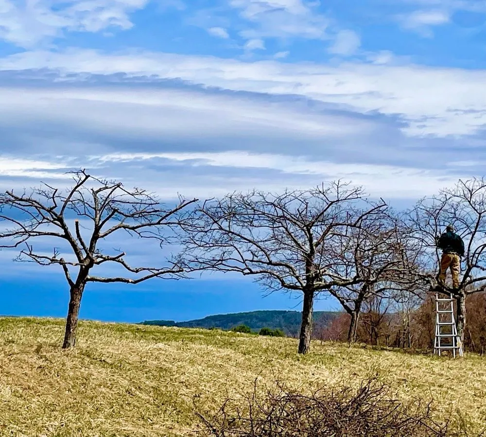 Affordable lawn care service in Spencer, MA by The Greenman Garden Landscaping