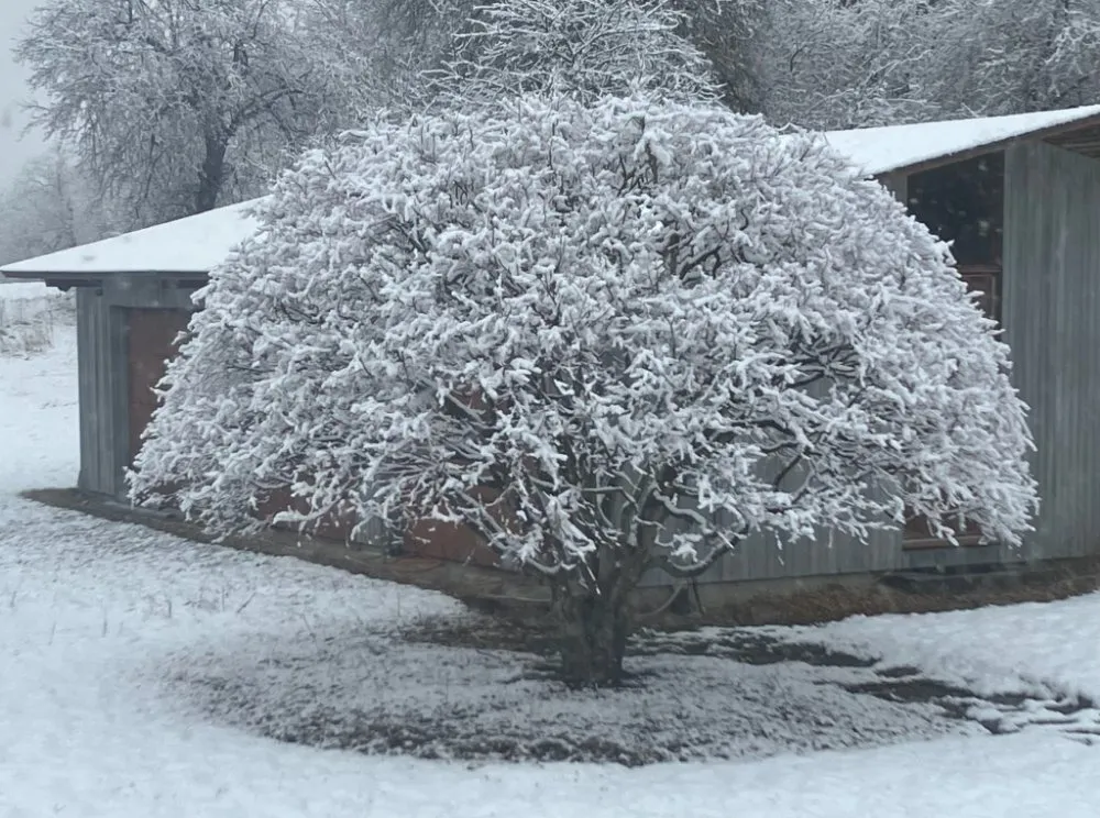 Professional lawn mowing service for beautiful yards across Spencer, MA - The Greenman Garden Landscaping