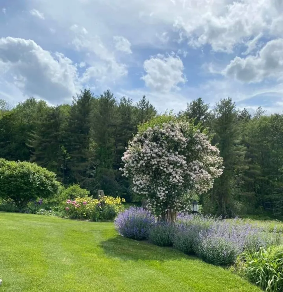 Local yard maintenance in Spencer, MA by The Greenman Garden Landscaping