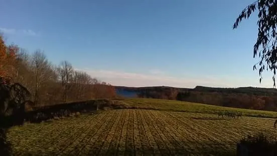 Custom yard maintenance in Spencer, MA - The Greenman Garden Landscaping