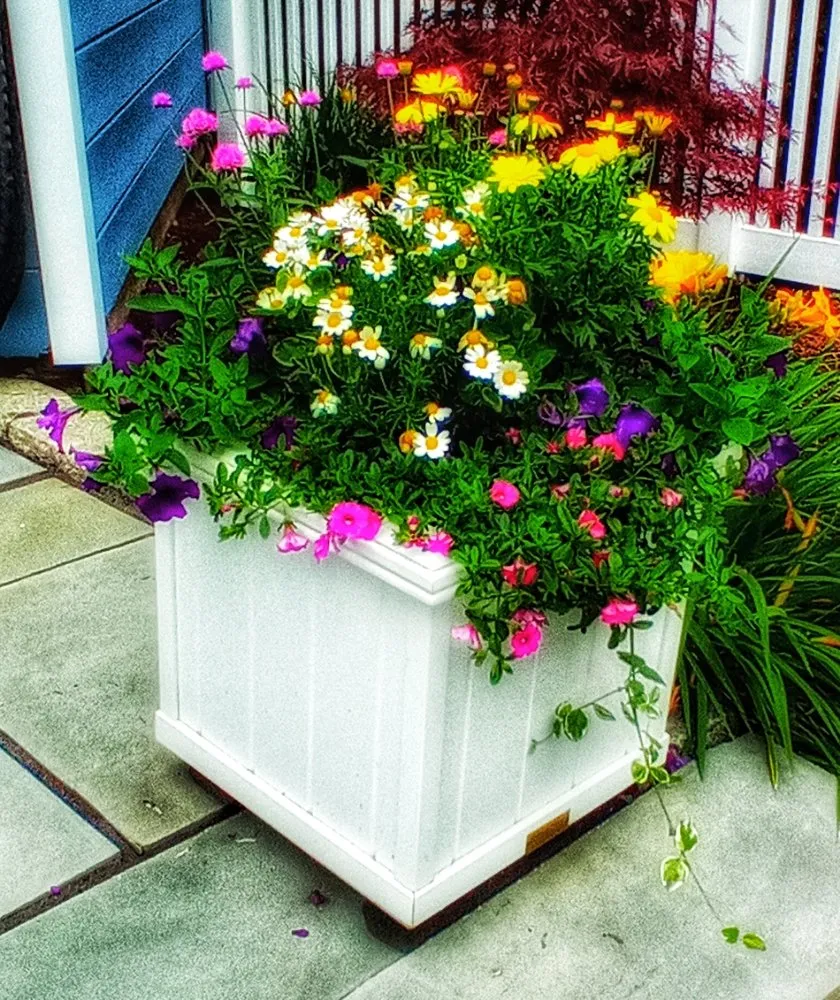 Top-rated yard cleanup service experts serving Spencer, MA - The Greenman Garden Landscaping