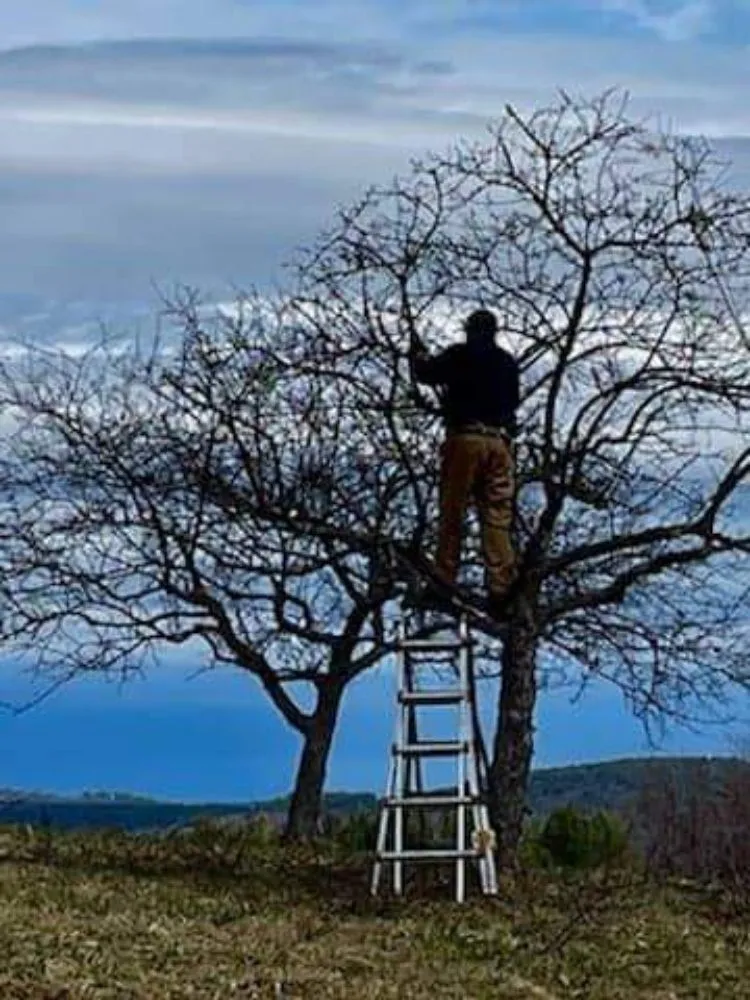 Reliable outdoor landscaping in Spencer, MA - The Greenman Garden Landscaping