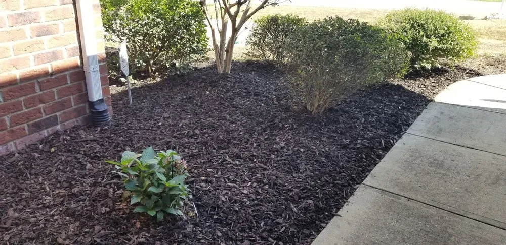 Reliable yard maintenance for outdoor upgrades in Durham, NC by The Greenscapers